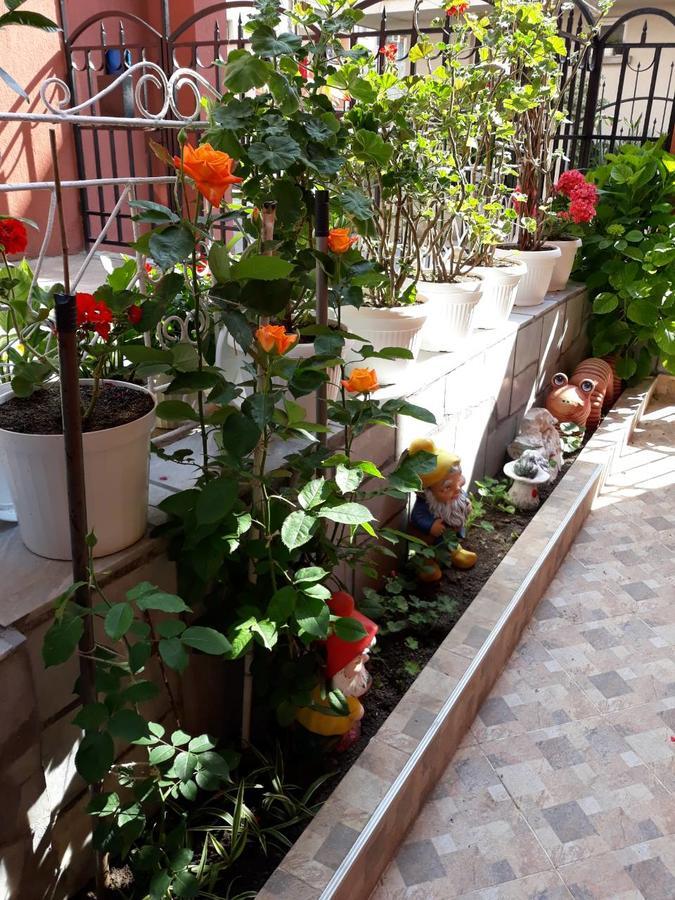Guest House Yanina Sozopol Extérieur photo