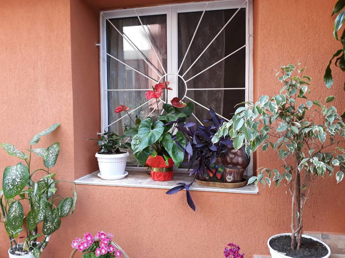 Guest House Yanina Sozopol Extérieur photo